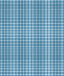 IMAGE_T