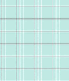IMAGE_T