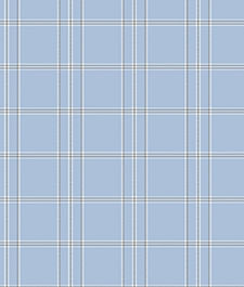 IMAGE_T