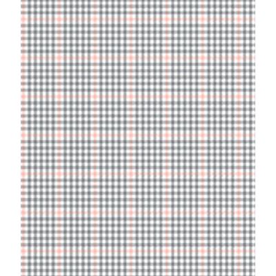 IMAGE_T