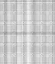 IMAGE_T
