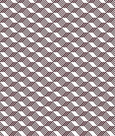 IMAGE_T