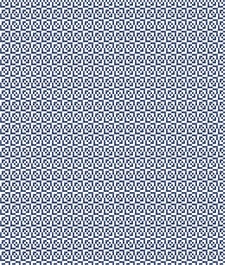IMAGE_T