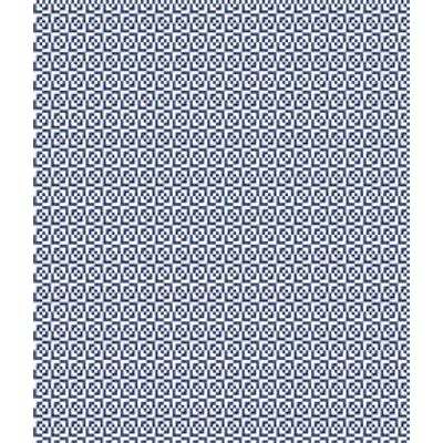 IMAGE_T