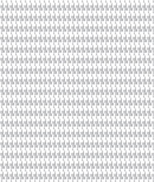 IMAGE_T