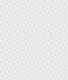 IMAGE_T
