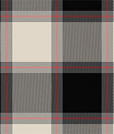 IMAGE_T