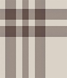 IMAGE_T