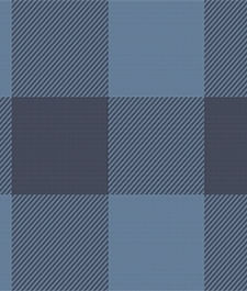 IMAGE_T