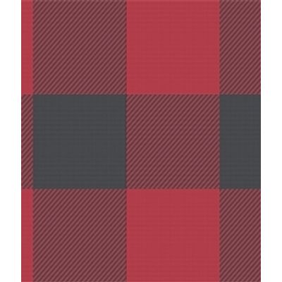 IMAGE_T