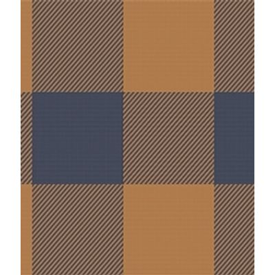 IMAGE_T
