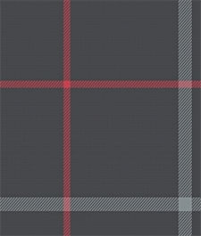 IMAGE_T