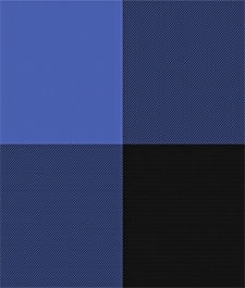 IMAGE_T