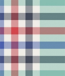 IMAGE_T