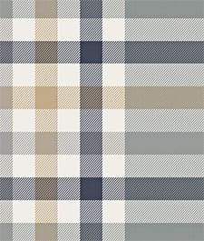 IMAGE_T