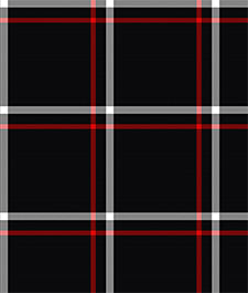IMAGE_T