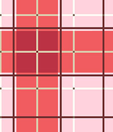 IMAGE_T