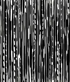 IMAGE_T