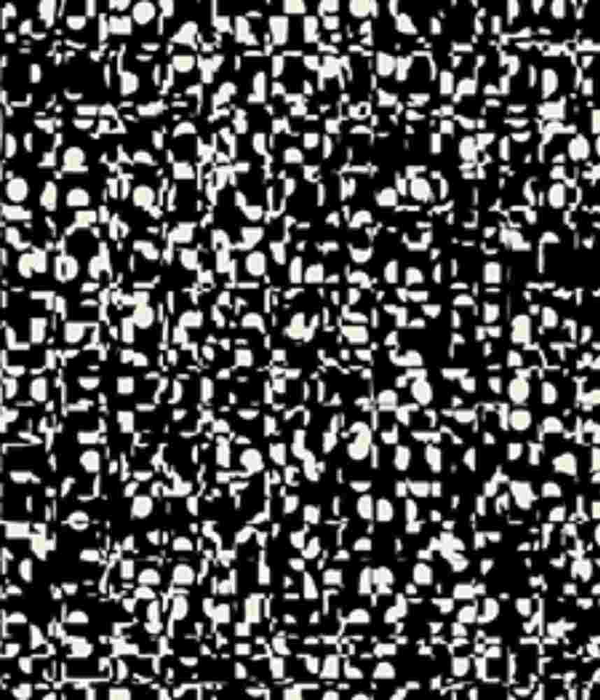 IMAGE_T