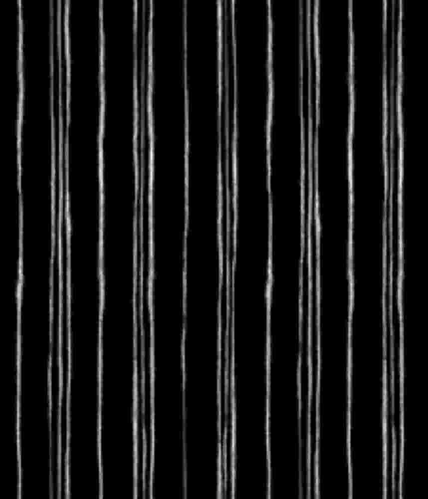 IMAGE_T