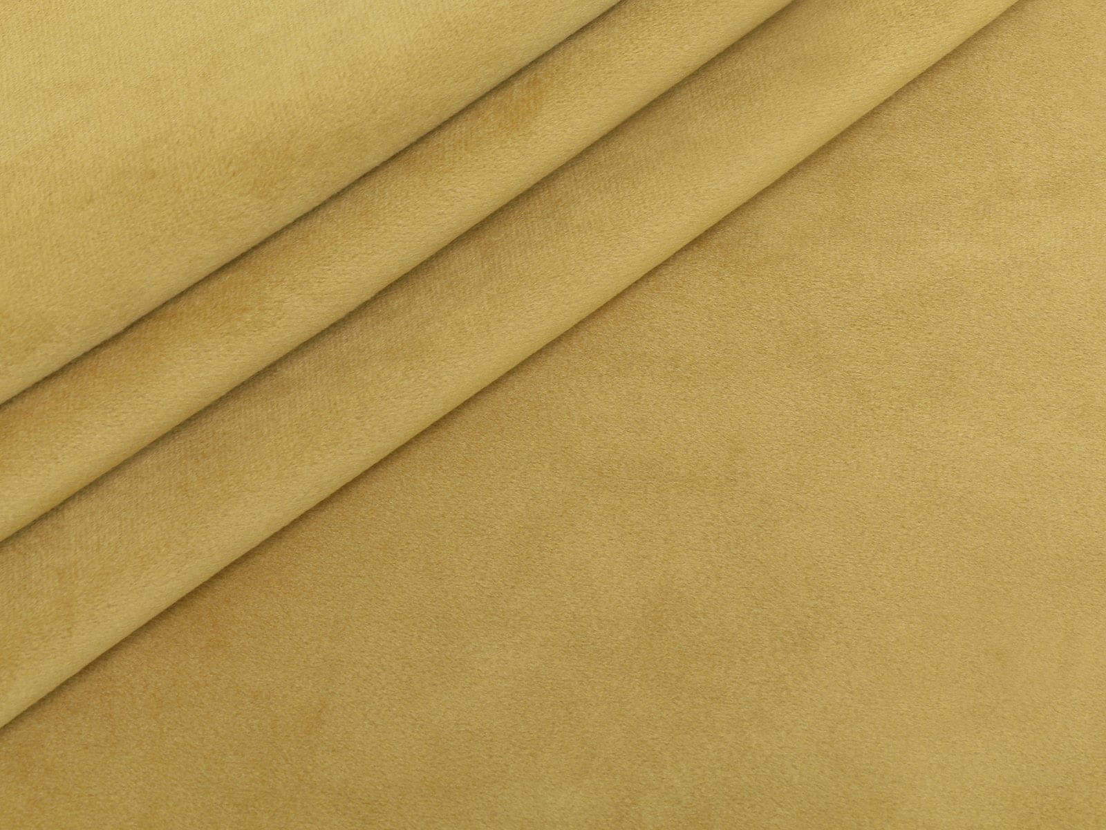 IMAGE_L