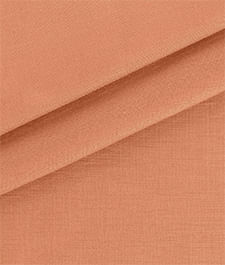 IMAGE_T
