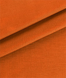 IMAGE_T
