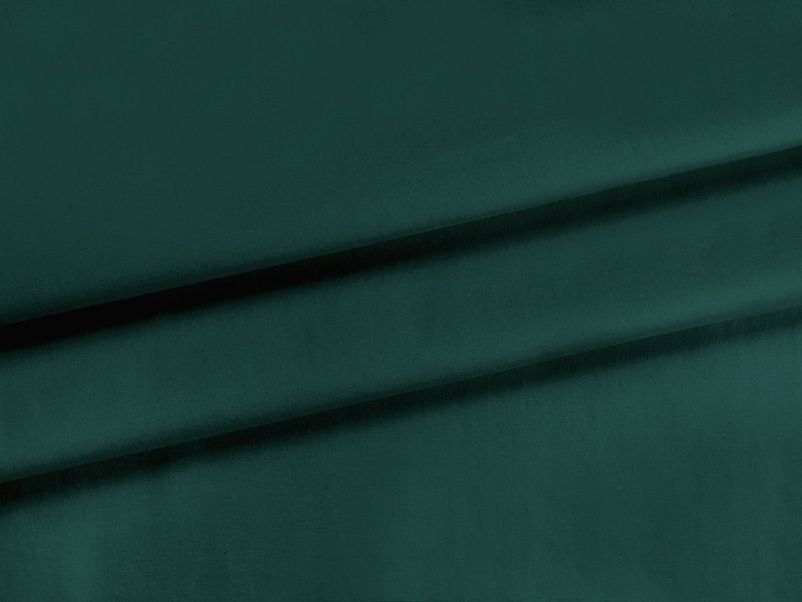 IMAGE_L