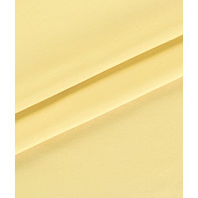 IMAGE_T