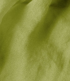 IMAGE_T