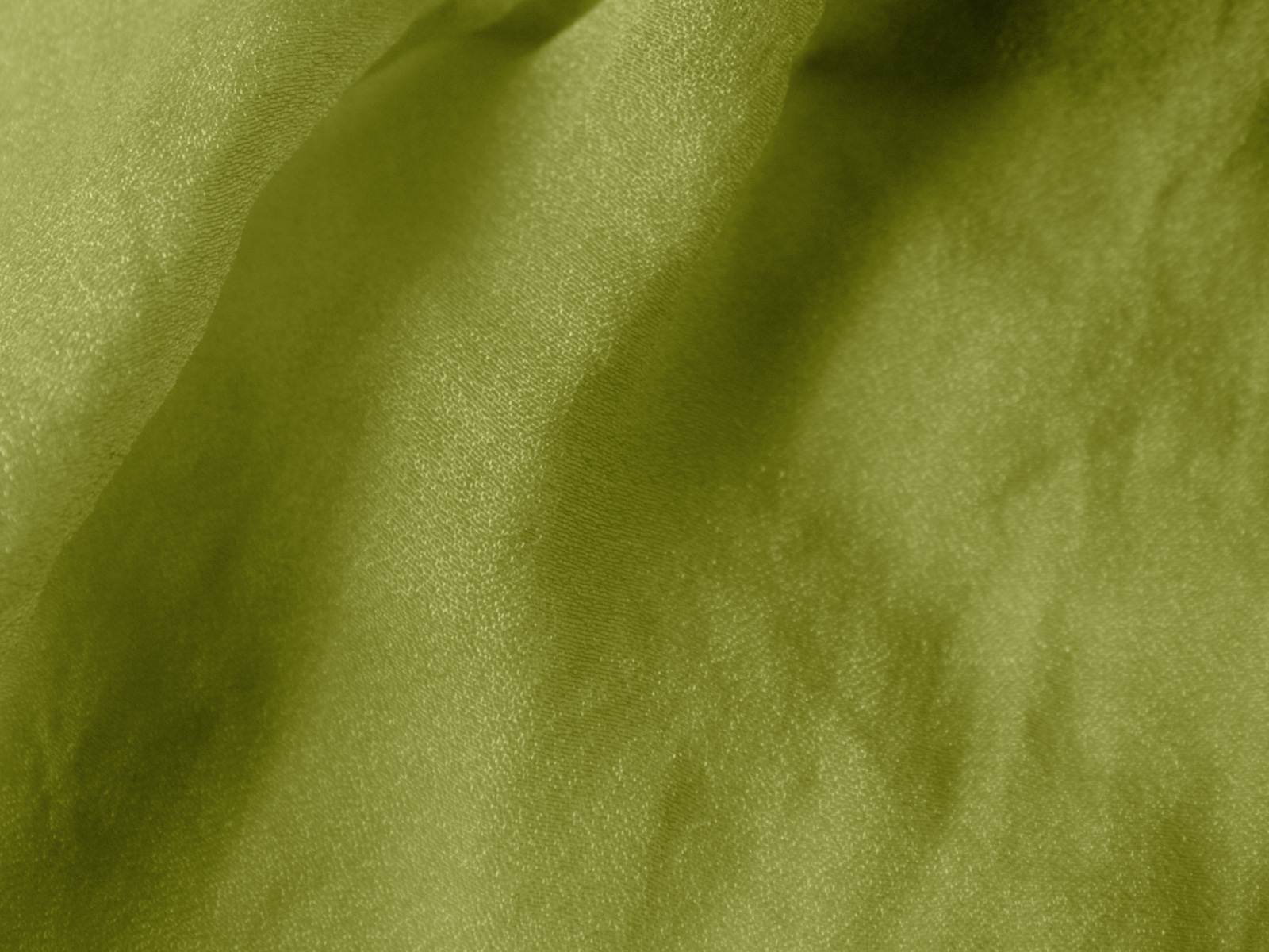 IMAGE_L