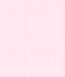 IMAGE_T