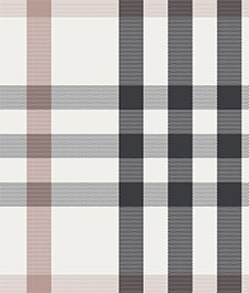 IMAGE_T