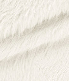 IMAGE_T
