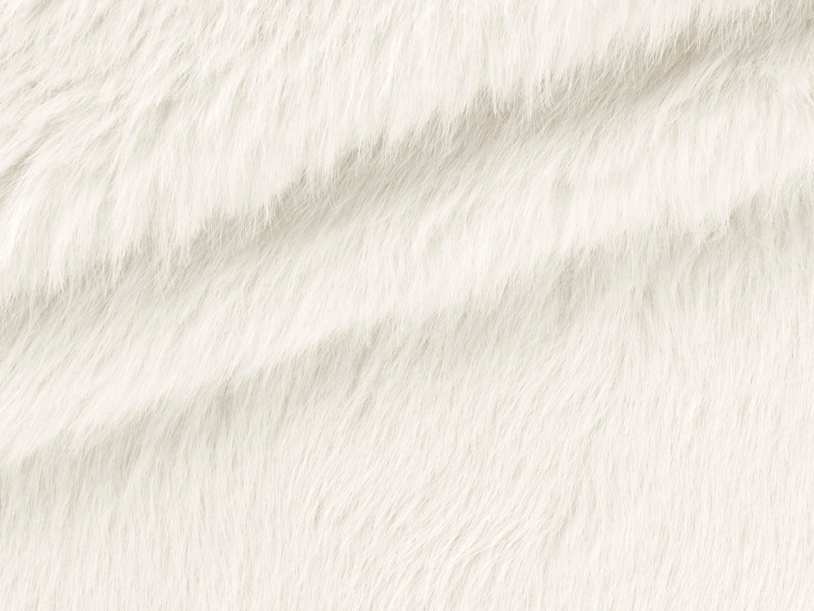 IMAGE_L
