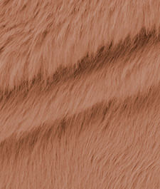 IMAGE_T