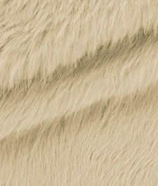 IMAGE_T