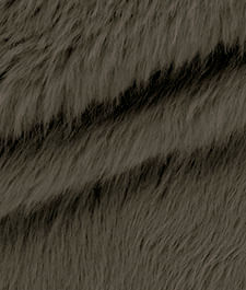 IMAGE_T