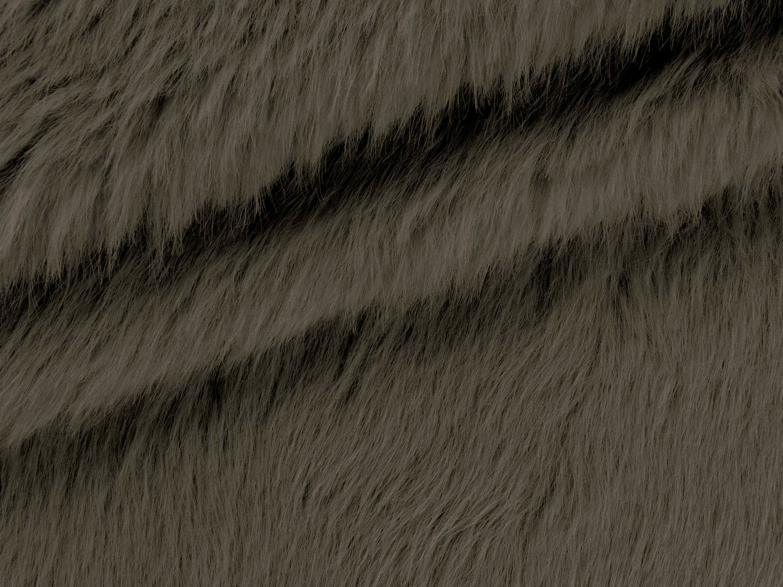 IMAGE_L