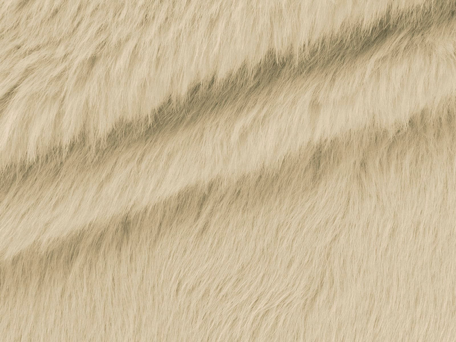 IMAGE_L