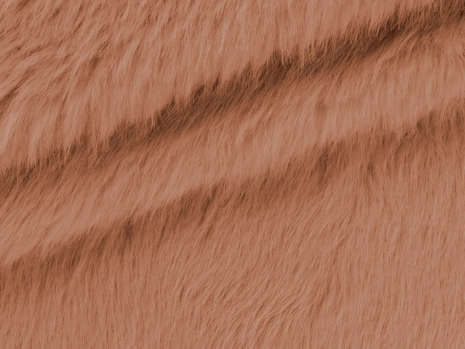 IMAGE_L
