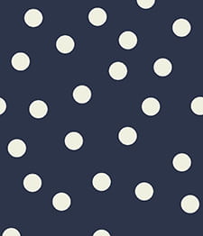 IMAGE_T