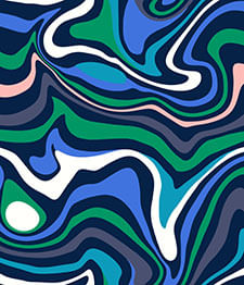 IMAGE_T