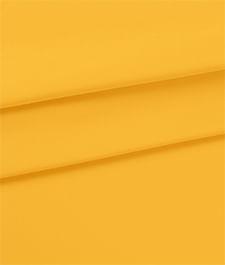 IMAGE_T