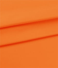 IMAGE_T