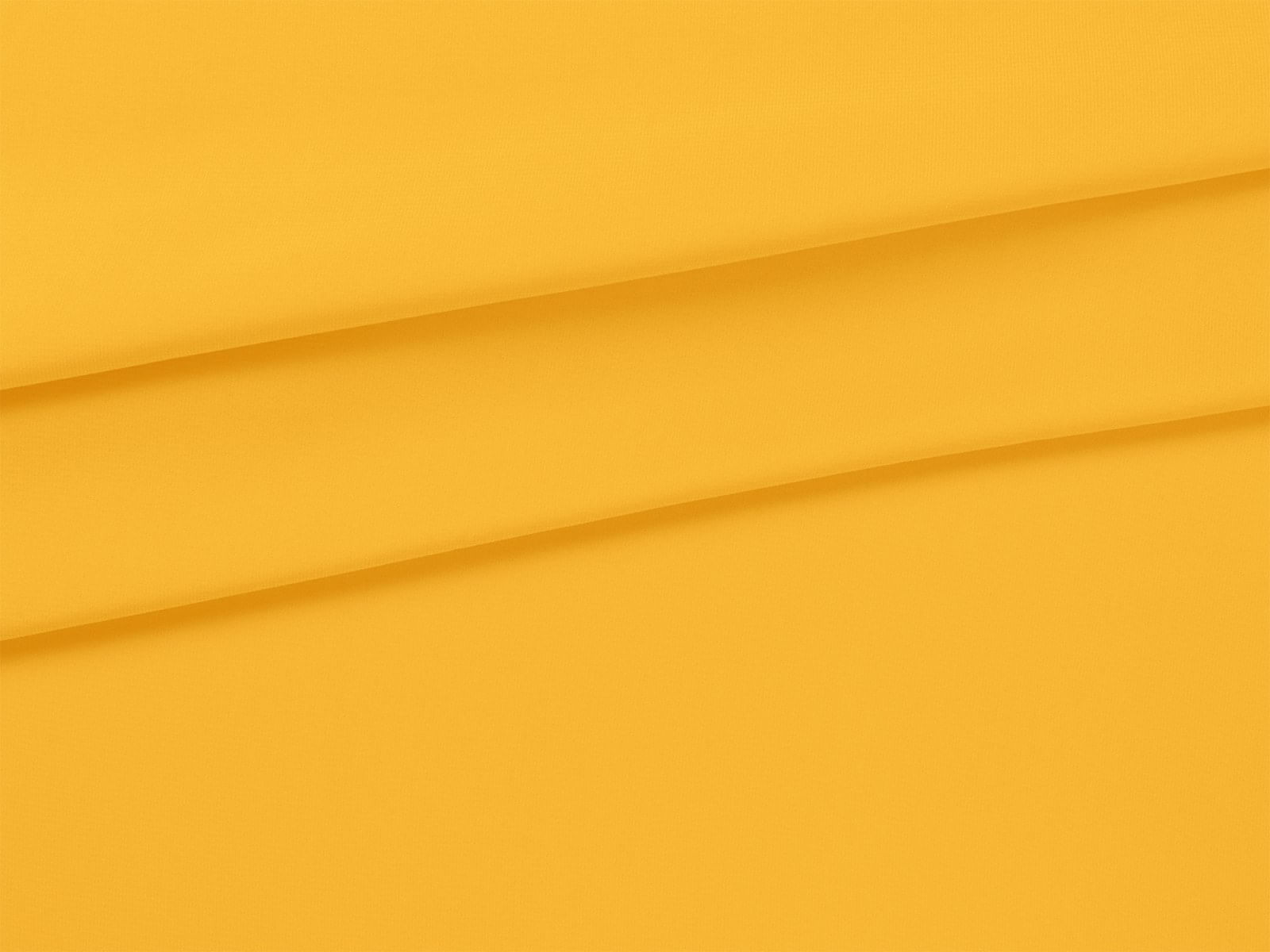 IMAGE_L