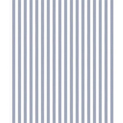 IMAGE_T