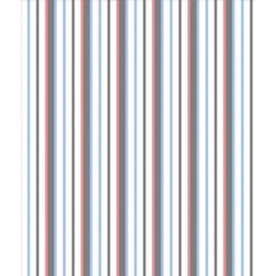 IMAGE_T