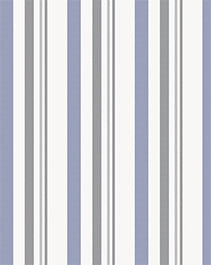 IMAGE_T