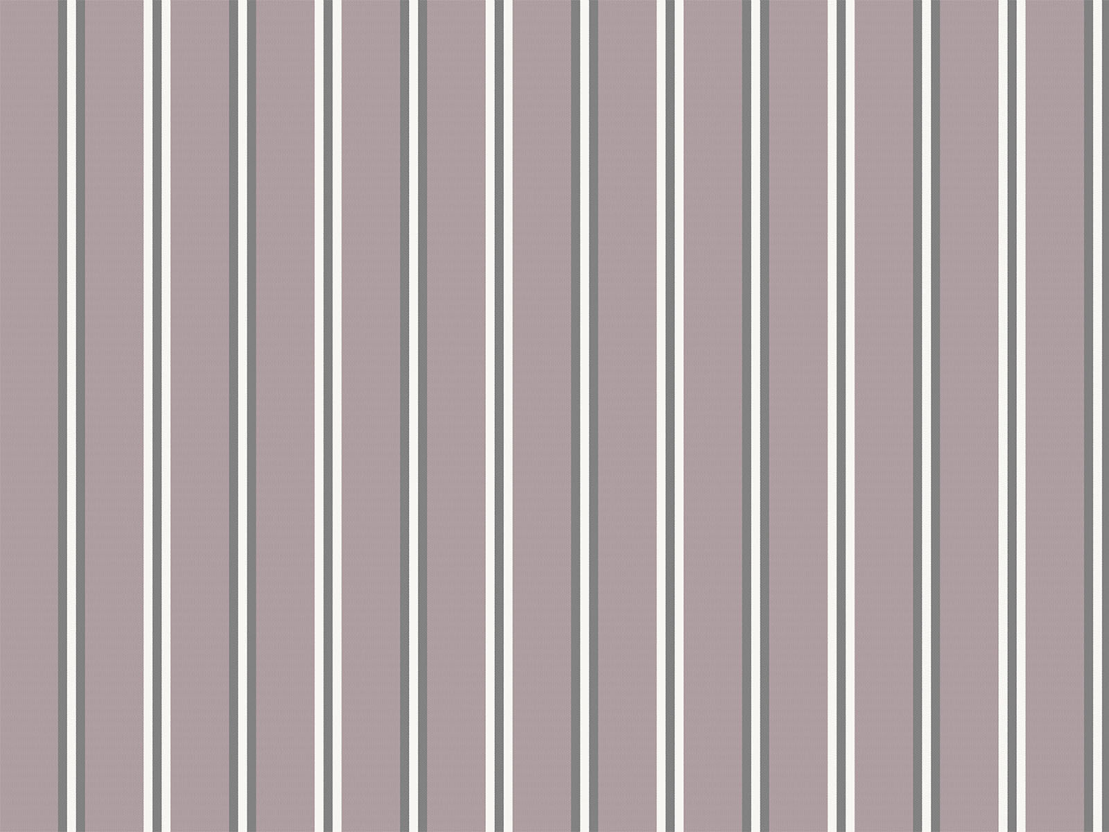 IMAGE_L